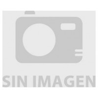 SAI SALICRU SPS 1000 ADV R2