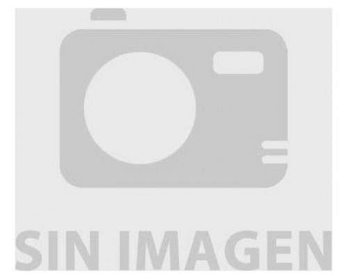 SAI SALICRU SPS 1000 ADV R2