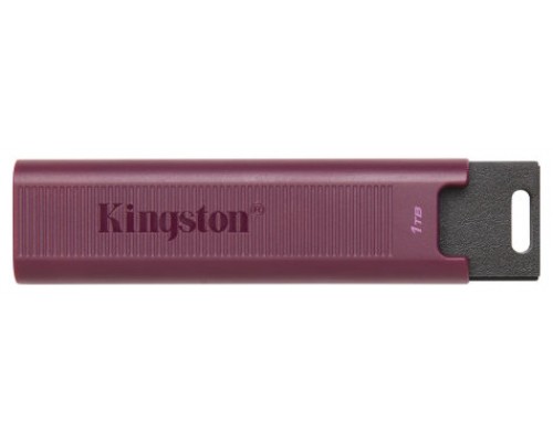 MEMORIA KINGSTON-JETFLASH DTMAXA 1TB