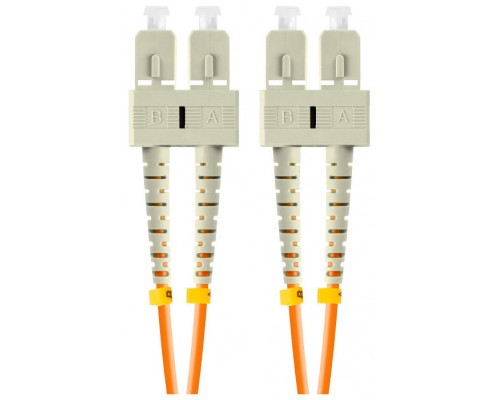 CABLE DE FIBRAOPTICA LANBERG 2M MULT SC/UPC-SC/UPC DUPLEX OM2 50/125 LSZH NARAJ