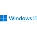 MICROSOFT WINDOWS 11 PRO 64