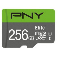 MICRO SD PNY 256GB ELITE UHS-I C10 R100