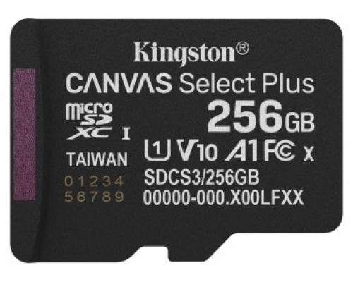 MEMORIA KINGSTON-MICROSD SDCS3 256GBSP