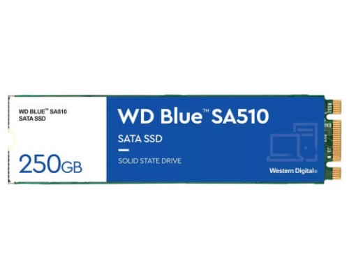 SSD WD BLUE SA510 250GB M2